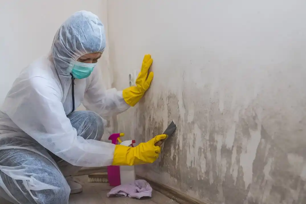 water damage restoration service Lakes at Creekside